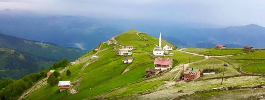 Çaykara Baltacılı Köyü Resimleri 12