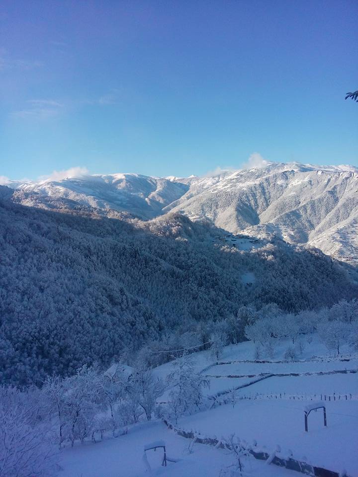 Çaykara Baltacılı Köyü Resimleri 2