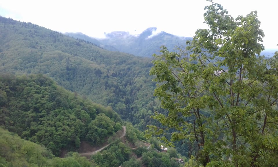 Çaykara Baltacılı Köyü Resimleri 4