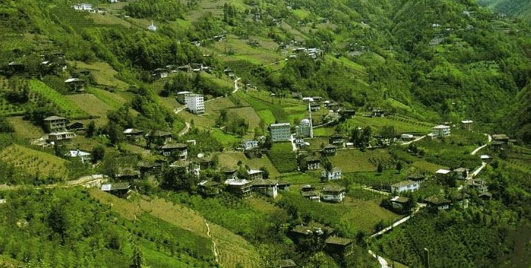 Çaykara Baltacılı Köyü Resimleri 6