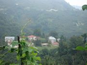 Keşap Güneyköy Köyü Resimleri 1