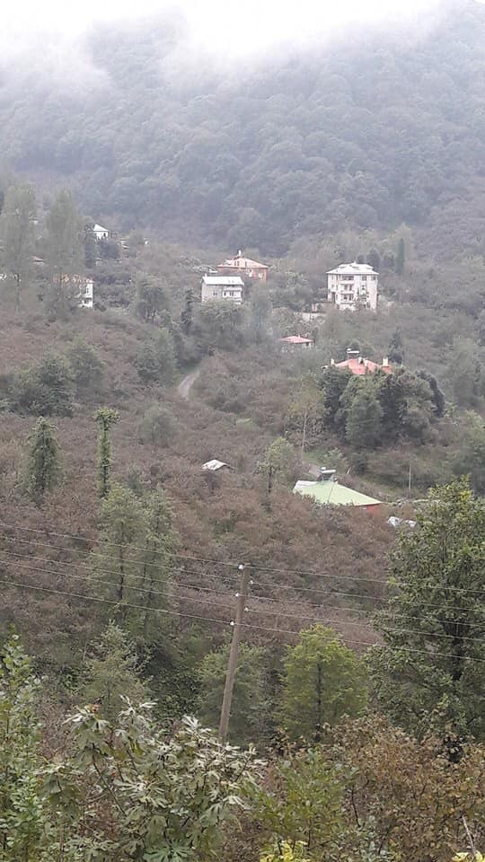 Keşap Gürpınar Köyü Resimleri 1