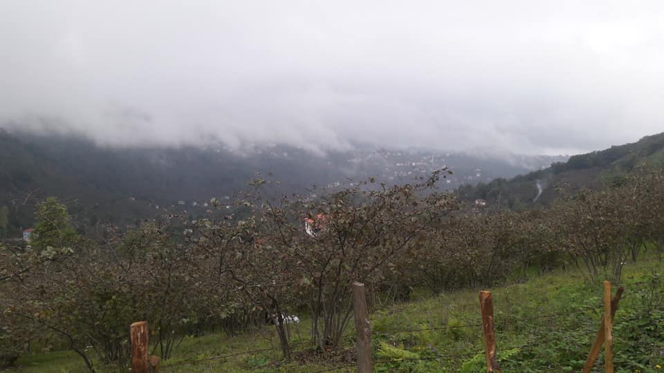 Keşap Gürpınar Köyü Resimleri 3