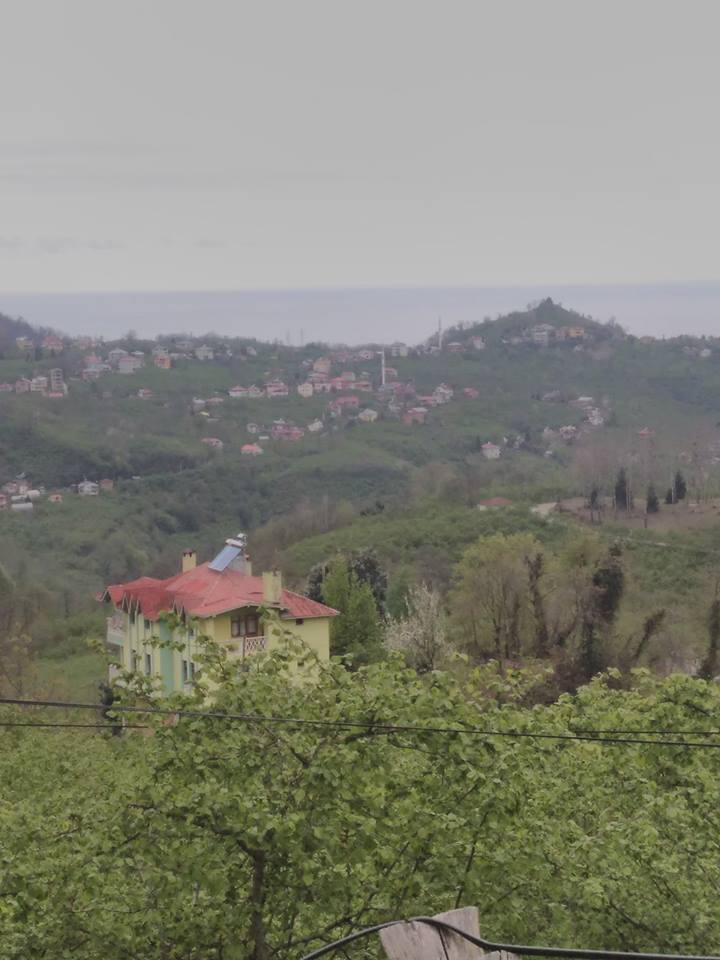 Keşap Gürpınar Köyü Resimleri 4