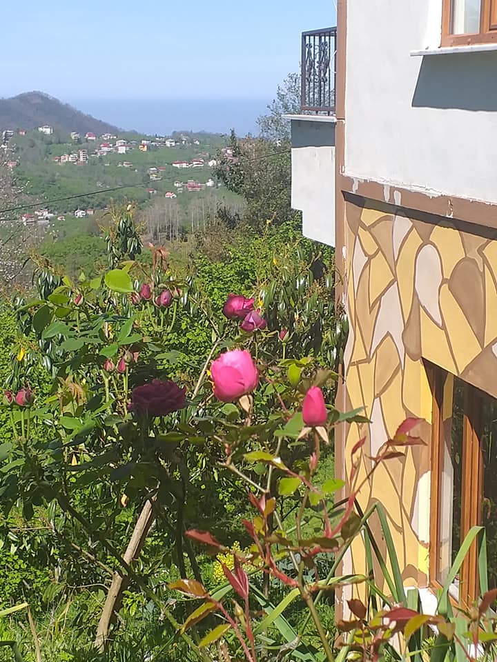 Keşap Gürpınar Köyü Resimleri 5