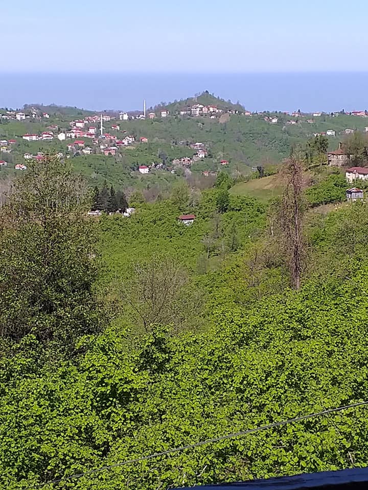 Keşap Gürpınar Köyü Resimleri 6