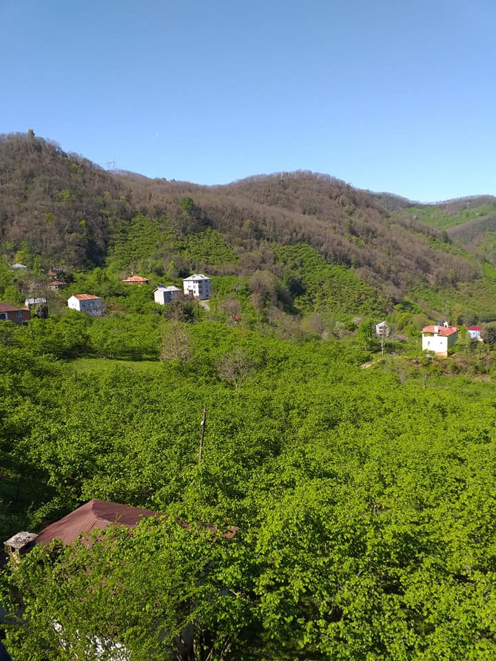 Keşap Gürpınar Köyü Resimleri 7