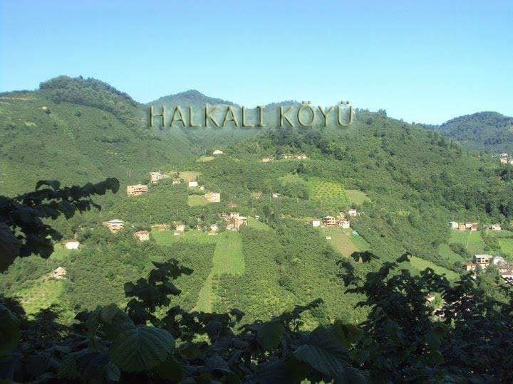 Keşap Halkalı Köyü Resimleri 6