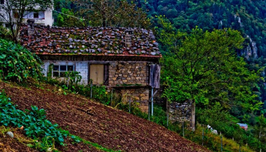 Çaykara Çambaşı Köyü Resimleri 3