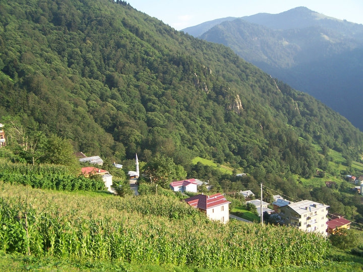 Çaykara Çambaşı Köyü Resimleri 7