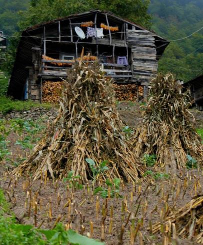 Çaykara Çambaşı Köyü Resimleri 9