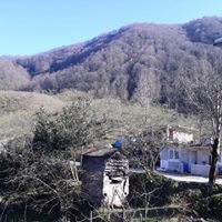 Keşap Kayabaşı Köyü Resimleri 12