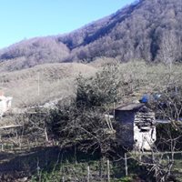 Keşap Kayabaşı Köyü Resimleri 14