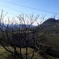 Keşap Kayabaşı Köyü Resimleri 16