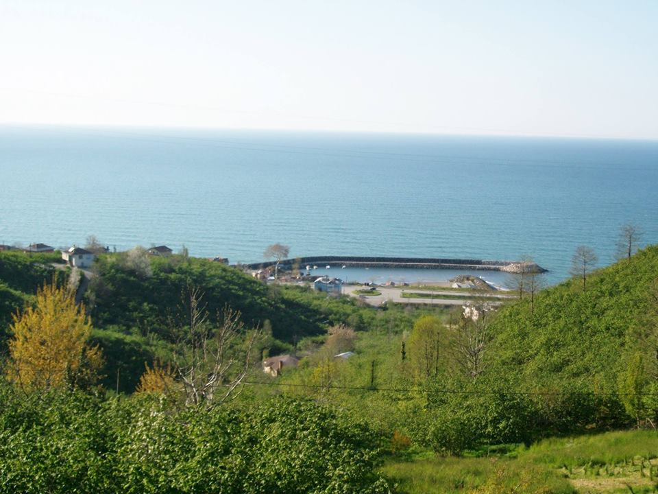 Keşap Tepeköy Köyü Resimleri 3