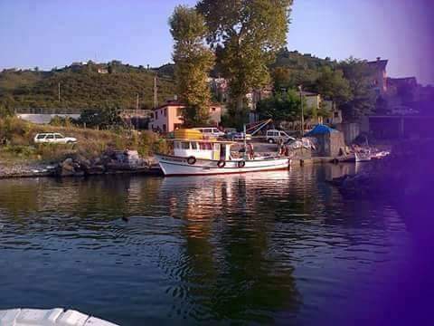 Keşap Tepeköy Köyü Resimleri 6