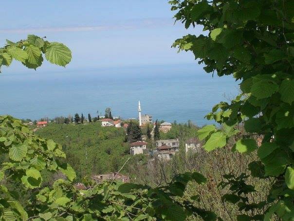 Keşap Tepeköy Köyü Resimleri 7