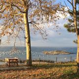 Keşap Tepeköy Köyü Resimleri 8