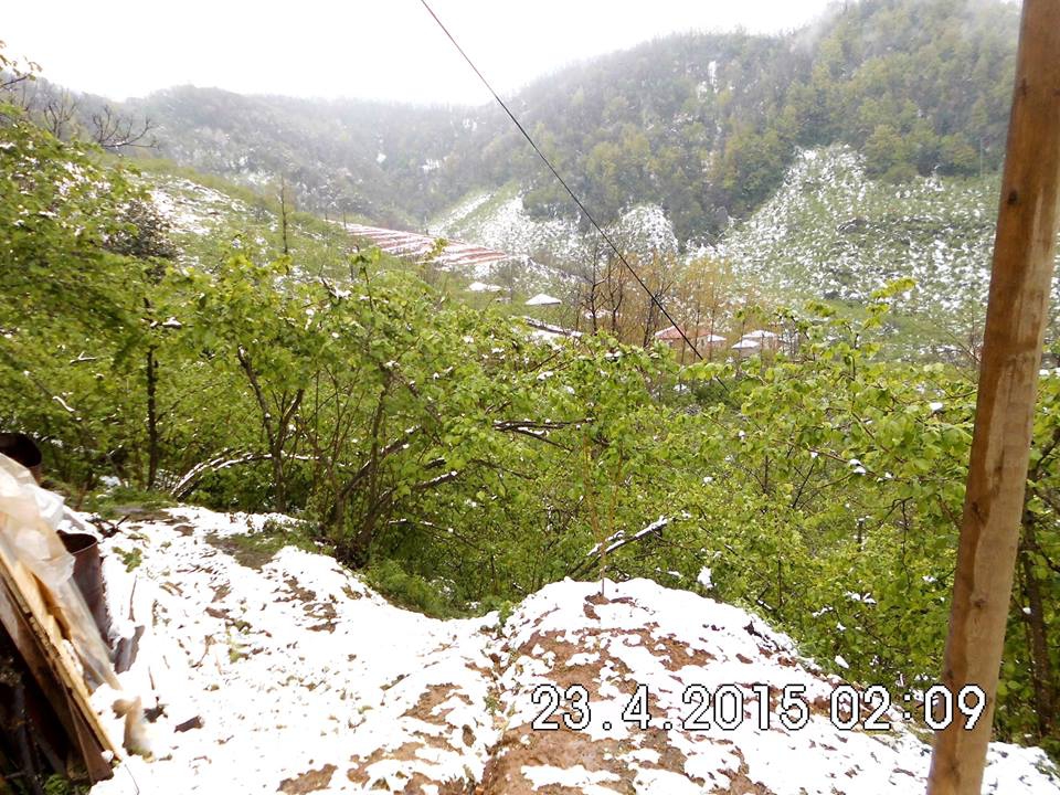 Keşap Yünlüce Köyü Resimleri 1