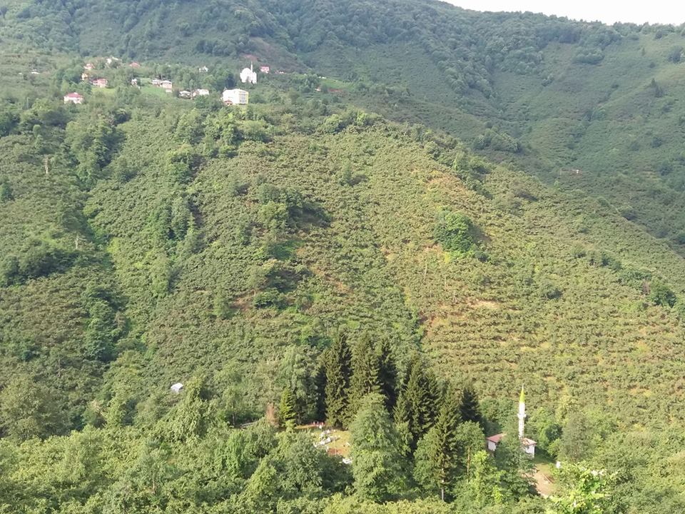 Keşap Yünlüce Köyü Resimleri 3