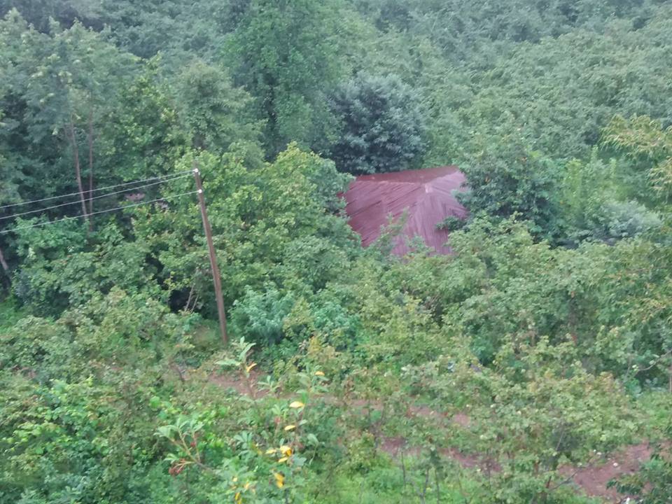 Keşap Yünlüce Köyü Resimleri 4