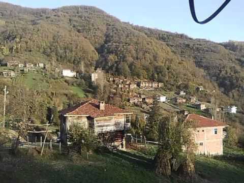 Cide Gökçeören Köyü Resimleri 3