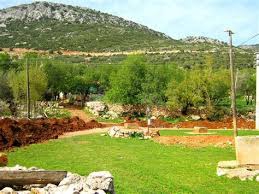 Cide Gökçeören Köyü Resimleri 6