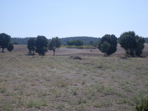 Uşak Akbulak Köyü Resimleri 3