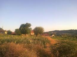 Uşak Akbulak Köyü Resimleri 6