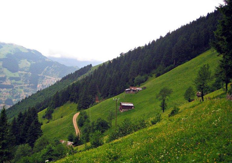 Çaykara Karaçam Köyü Resimleri 9