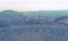 Piraziz Tepeköy Köyü Resimleri 4