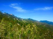 Piraziz Tepeköy Köyü Resimleri 5