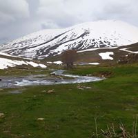 Şebinkarahisar Çakır Köyü Resimleri 1