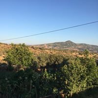 Şebinkarahisar Çakır Köyü Resimleri 17