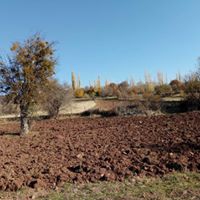 Şebinkarahisar Çakır Köyü Resimleri 19