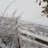 Şebinkarahisar Çakır Köyü Resimleri 23