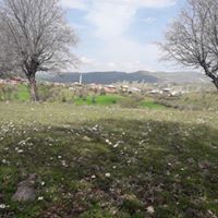 Şebinkarahisar Çakır Köyü Resimleri 29