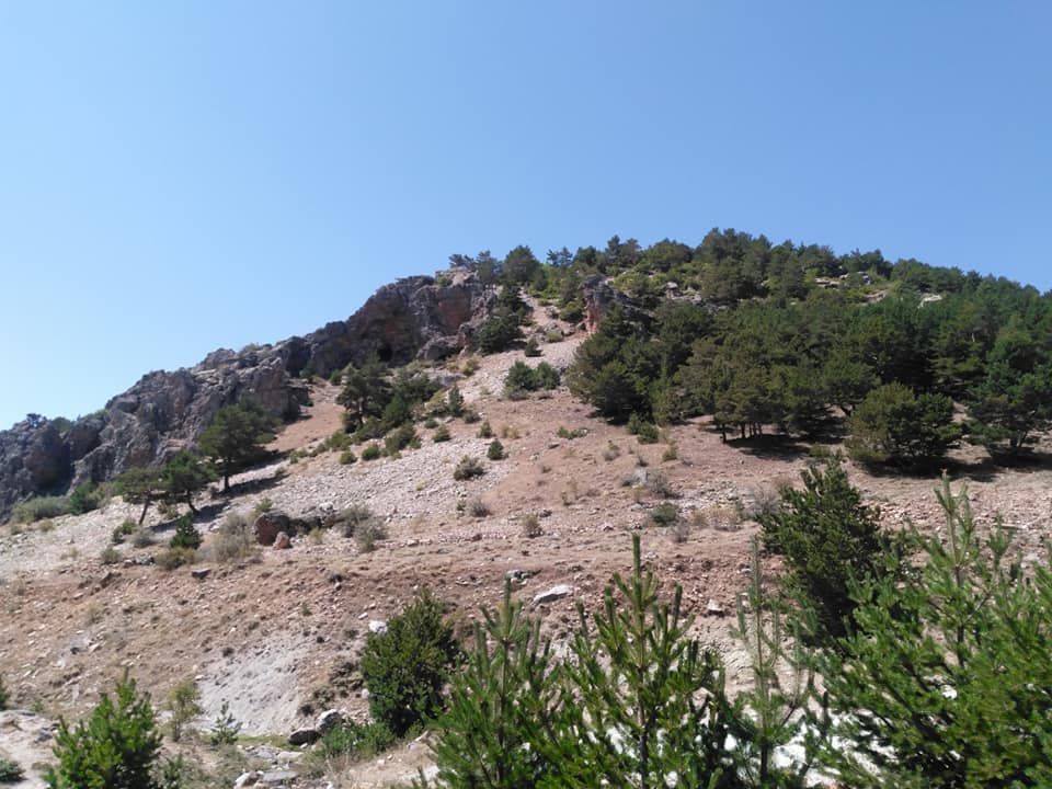 Şebinkarahisar Evcili Köyü Resimleri 5