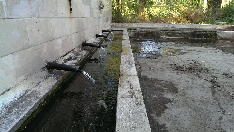 Şebinkarahisar Gürpınar Köyü Resimleri 2