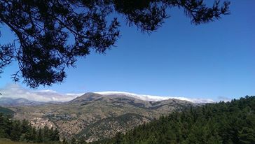 Şebinkarahisar Gürpınar Köyü Resimleri 3