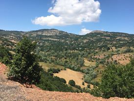 Şebinkarahisar Gürpınar Köyü Resimleri 8