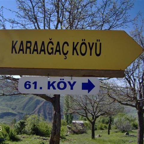 Şebinkarahisar Karaağaç Köyü Resimleri 5