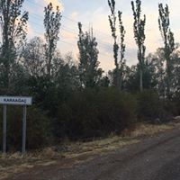 Şebinkarahisar Karaağaç Köyü Resimleri 8