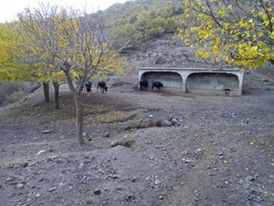 Şebinkarahisar Taşcılı Köyü Resimleri 7