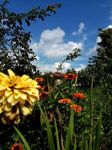 Edirne Hacıumur Köyü Resimleri 1