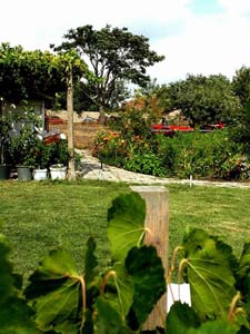 Edirne Hacıumur Köyü Resimleri 2