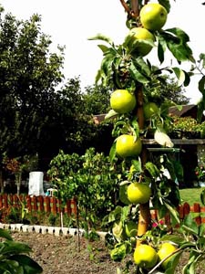 Edirne Hacıumur Köyü Resimleri 4