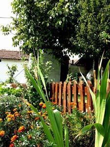 Edirne Hacıumur Köyü Resimleri 5