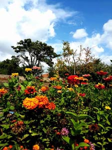 Edirne Hacıumur Köyü Resimleri 8