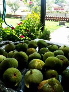 Edirne Hacıumur Köyü Resimleri 9